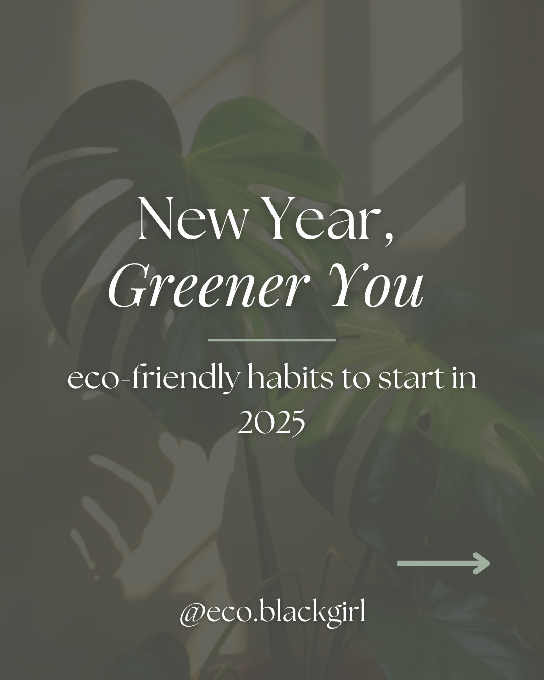 New Year, Greener You: Embracing Eco-Friendly Habits